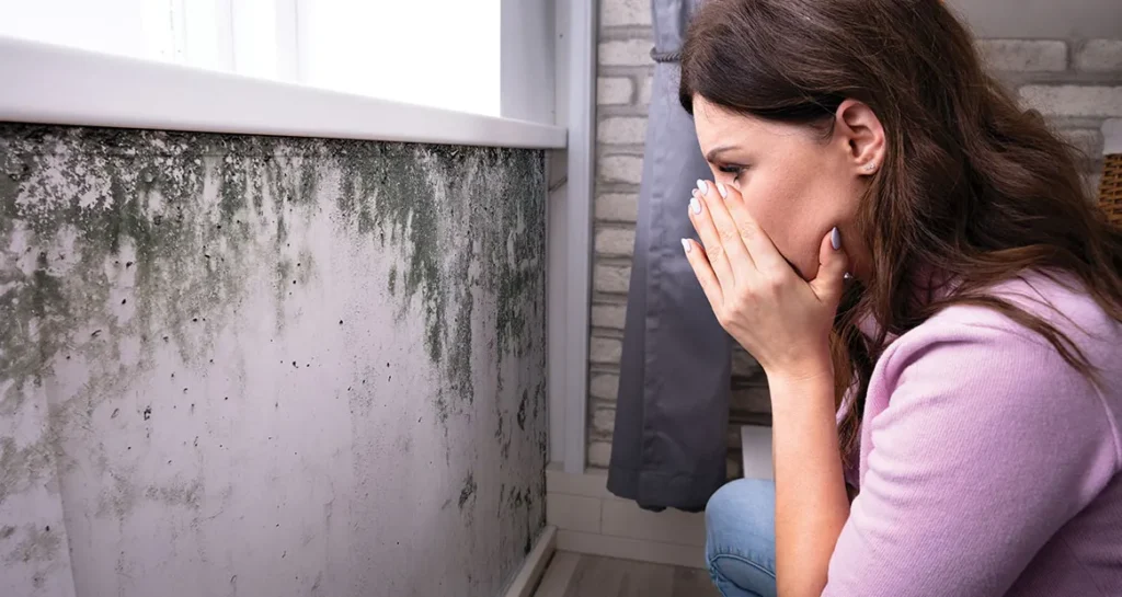 How to Recognize and Reduce Mold-Related Health Risks