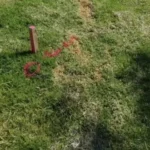 Seven Crucial Steps to Repair a Faulty Drainage System